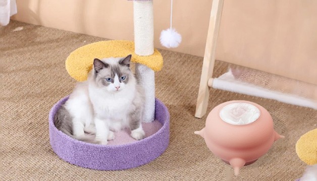 Pick The Best Dog Bed – Tips & Ideas