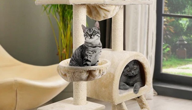 Pick The Best Dog Bed – Tips & Ideas