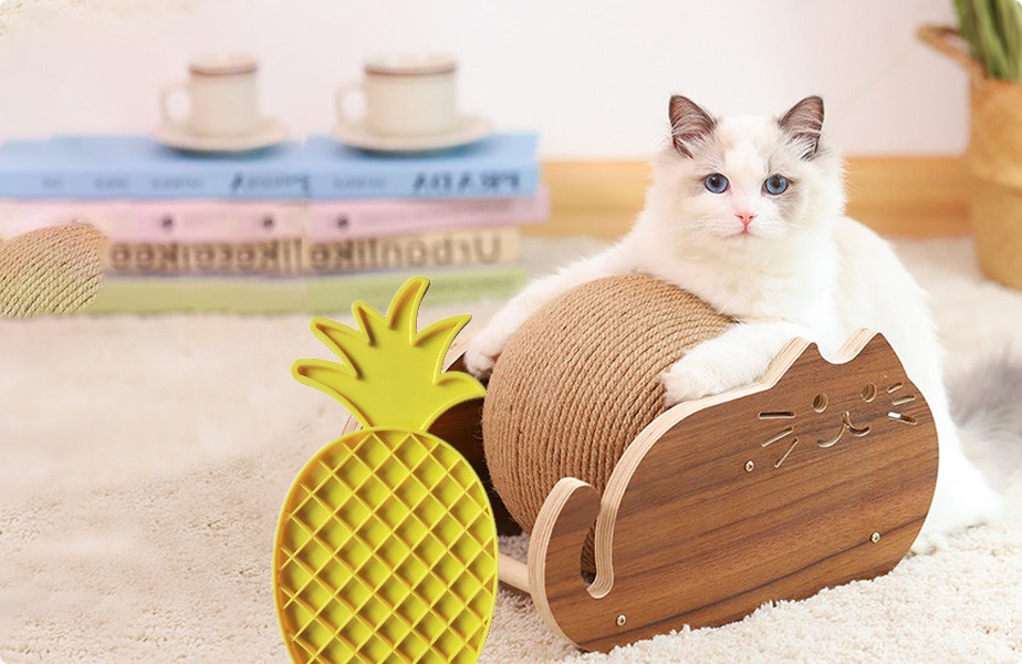 Pet accessories