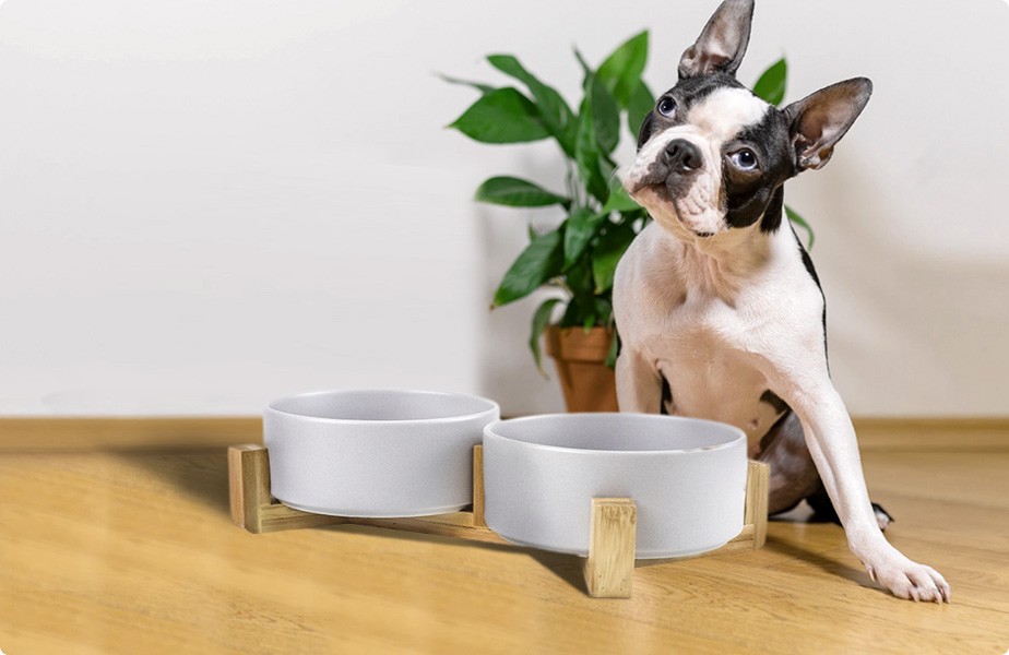 Pet feeders